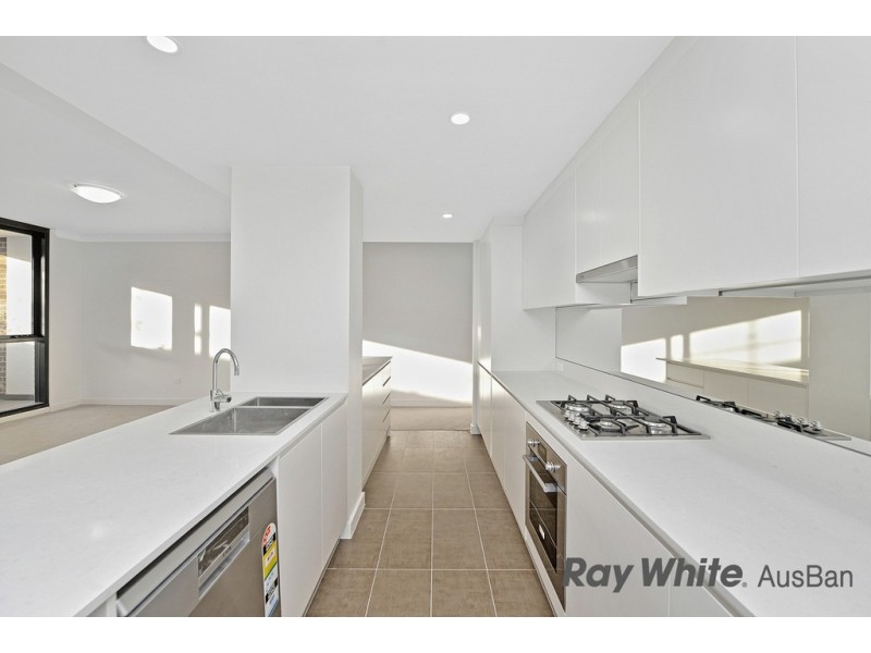 201/195 LAKEMBA STREET, Lakemba NSW 2195