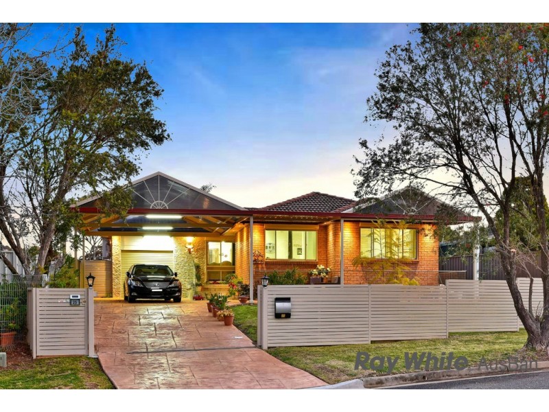 25 Ambrosia Street, Macquarie Fields NSW 2564