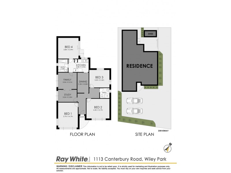 1113. Canterbury Road, Wiley Park NSW 2195 Floorplan