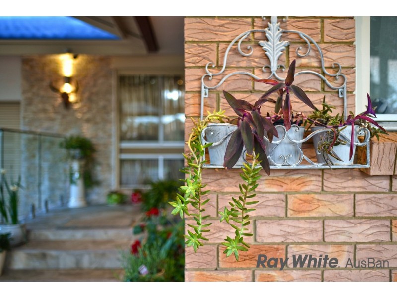 25 Ambrosia Street, Macquarie Fields NSW 2564