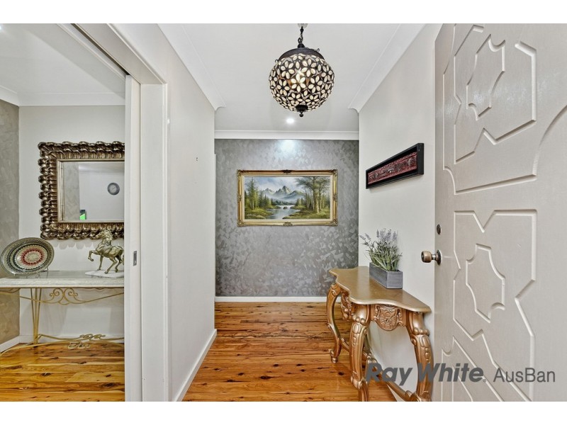 25 Ambrosia Street, Macquarie Fields NSW 2564