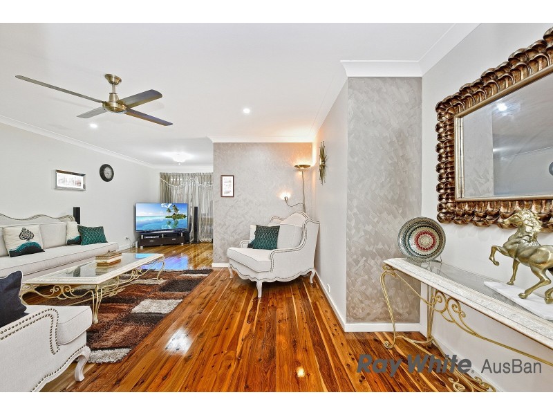 25 Ambrosia Street, Macquarie Fields NSW 2564