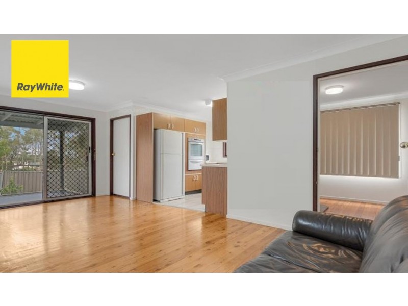 51 Randall Avenue, Minto NSW 2566