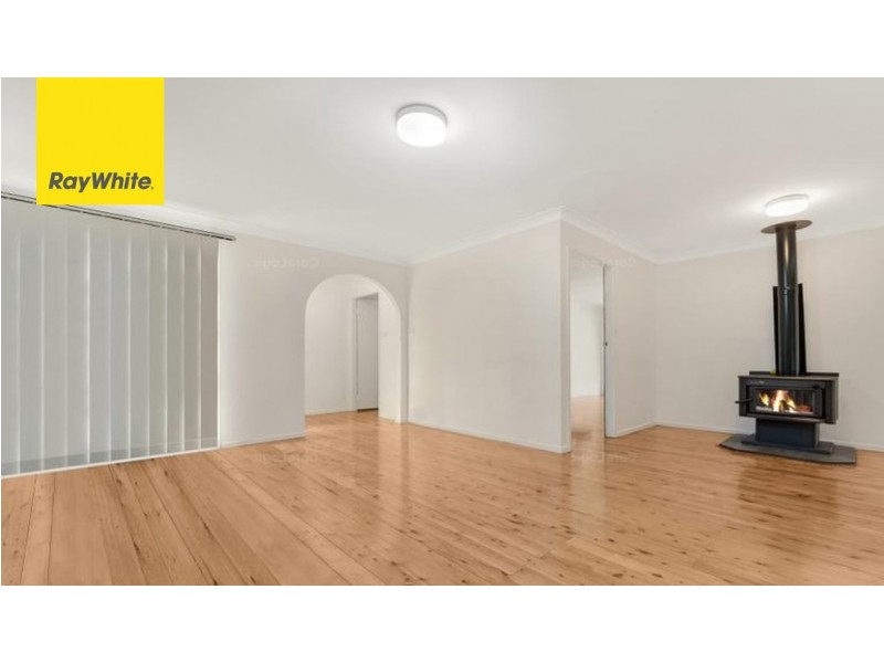51 Randall Avenue, Minto NSW 2566