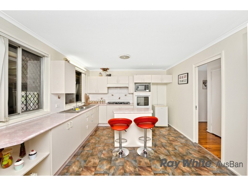 53 Townson Avenue., Leumeah NSW 2560