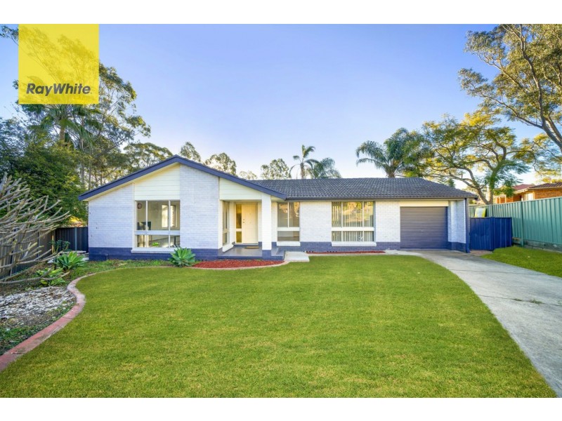 51 Randall avenue, Minto NSW 2566