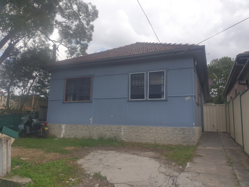 123 DUDLEY STREET, Punchbowl NSW 2196