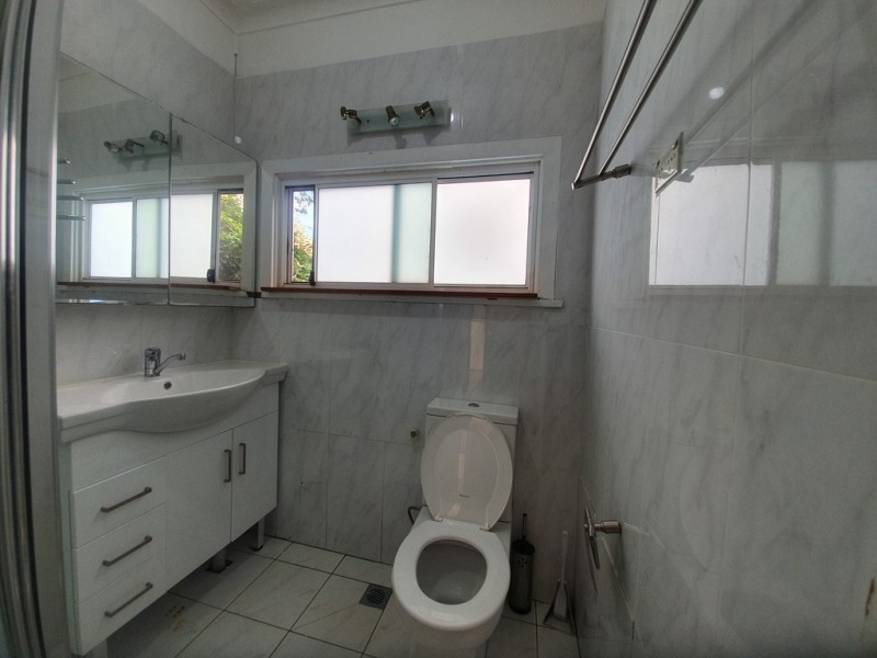 123 DUDLEY STREET, Punchbowl NSW 2196