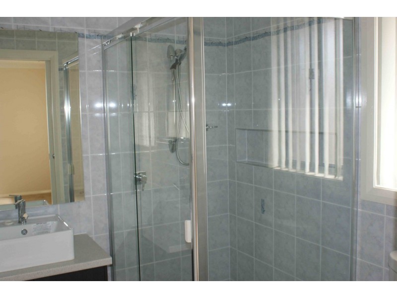 156 Ingleburn Road, Ingleburn NSW 2565