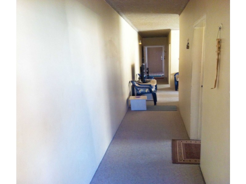 2/1438 Canterbury Road, Punchbowl NSW 2196