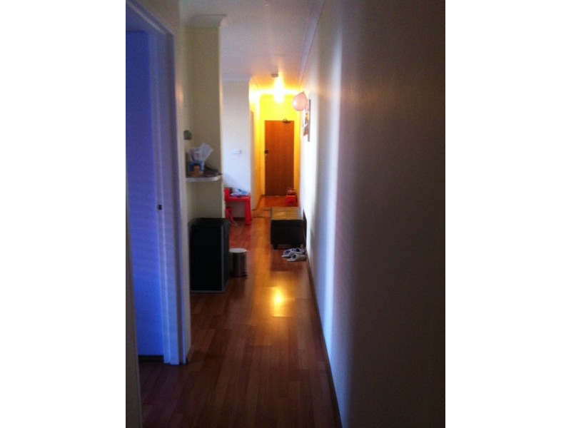 2/87 The Boulevarde, Wiley Park NSW 2195