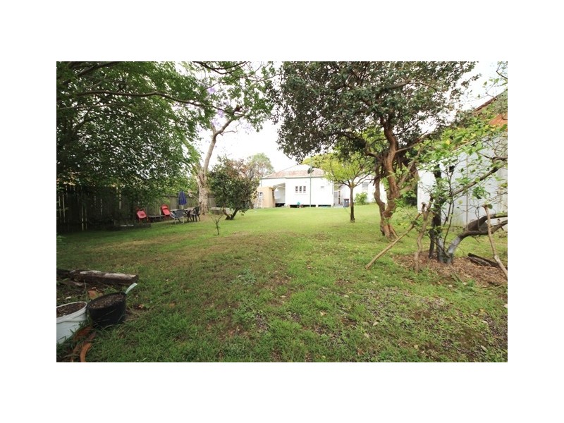 50 Hillard St, Wiley Park NSW 2195
