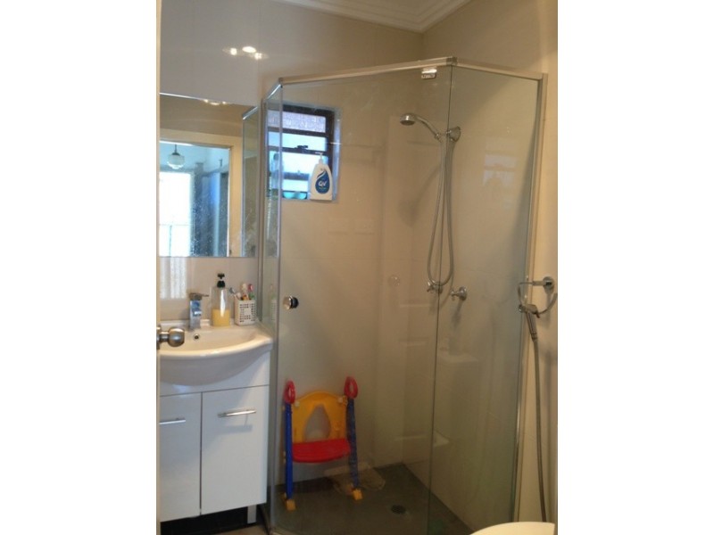 20 Telopea St, Punchbowl NSW 2196