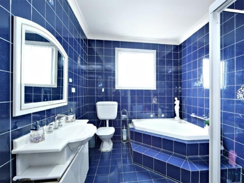 107 RAWSON ROAD, Greenacre NSW 2190