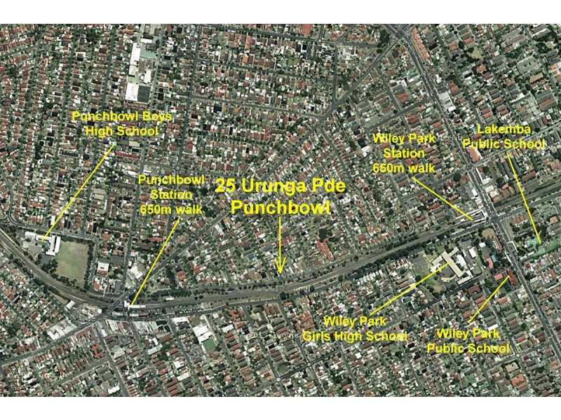 25 Urunga Parade, Punchbowl NSW 2196