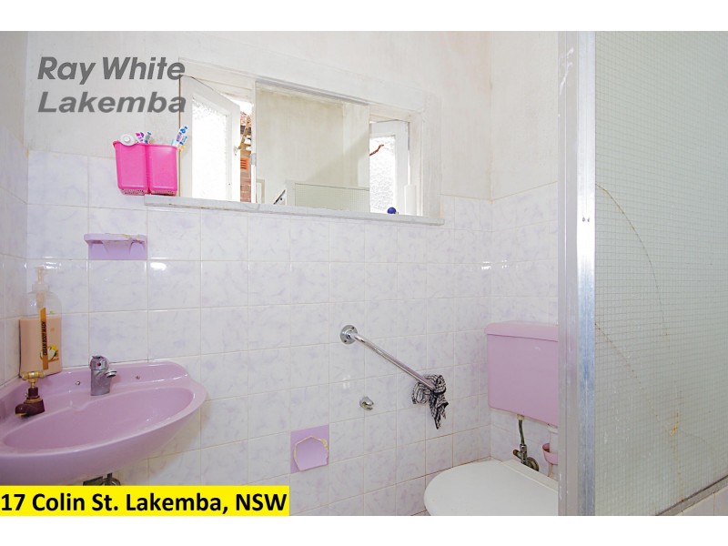 17 Colin Street, Lakemba NSW 2195