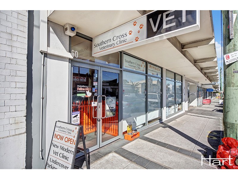 60 Princes Highway, St Peters NSW 2044