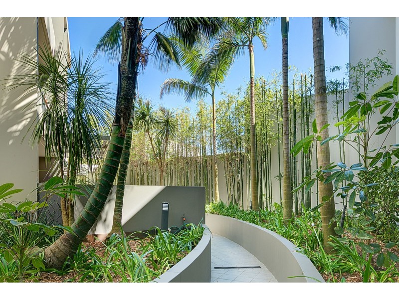 3/117-123 Bronte Road, Bondi Junction NSW 2022