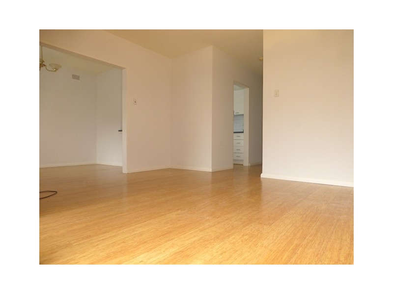 2/20 The Avenue, Rose Bay NSW 2029