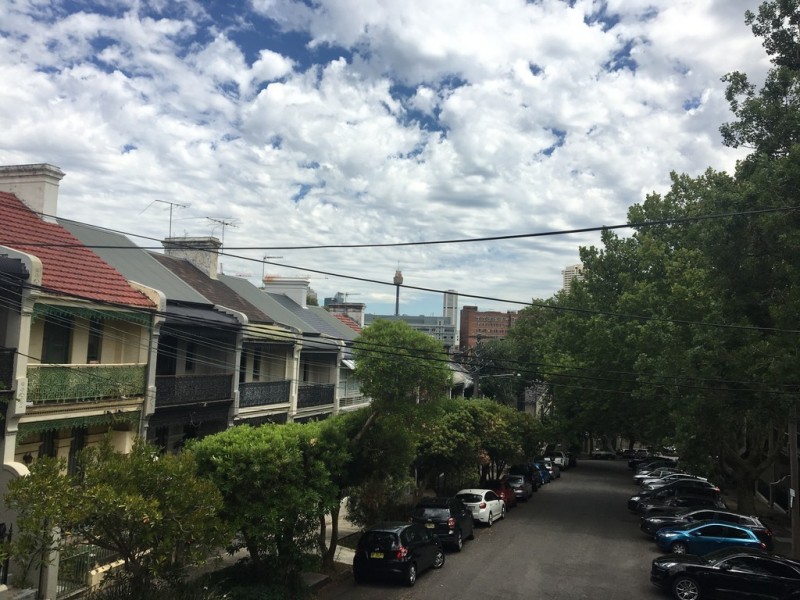 19 Liverpool Street, Paddington NSW 2021