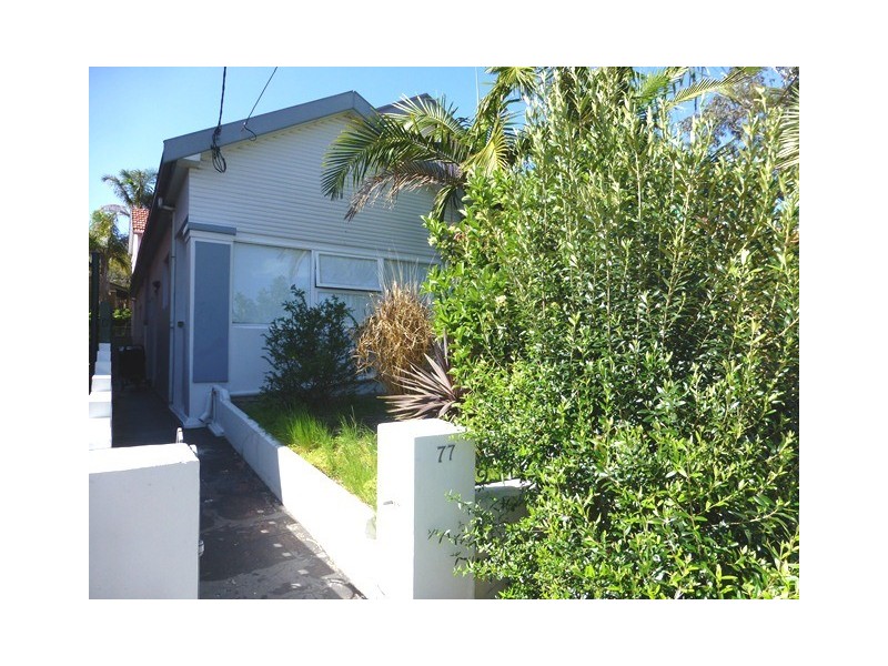 77 O’Donnell Street, North Bondi NSW 2026