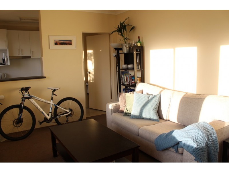 8/92 Macpherson Street, Bronte NSW 2024