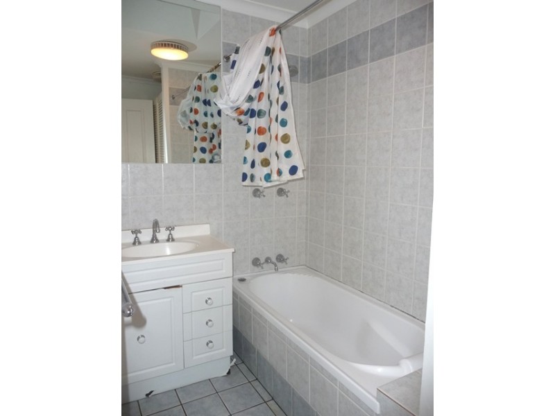 17 Little Comber Street, Paddington NSW 2021