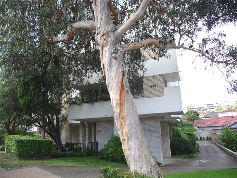 1/571 Old South Head Road, Rose Bay NSW 2029