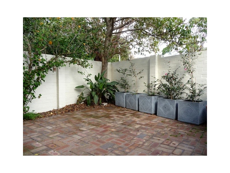 2/73 Fitzwilliam Road, Vaucluse NSW 2030