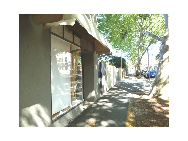 83 Moncur Street, Woollahra NSW 2025