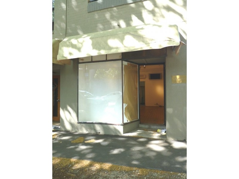 83 Moncur Street, Woollahra NSW 2025