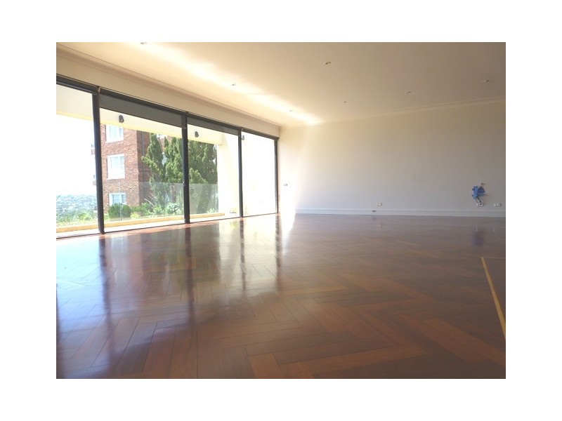 25 Drumalbyn Road, Bellevue Hill NSW 2023