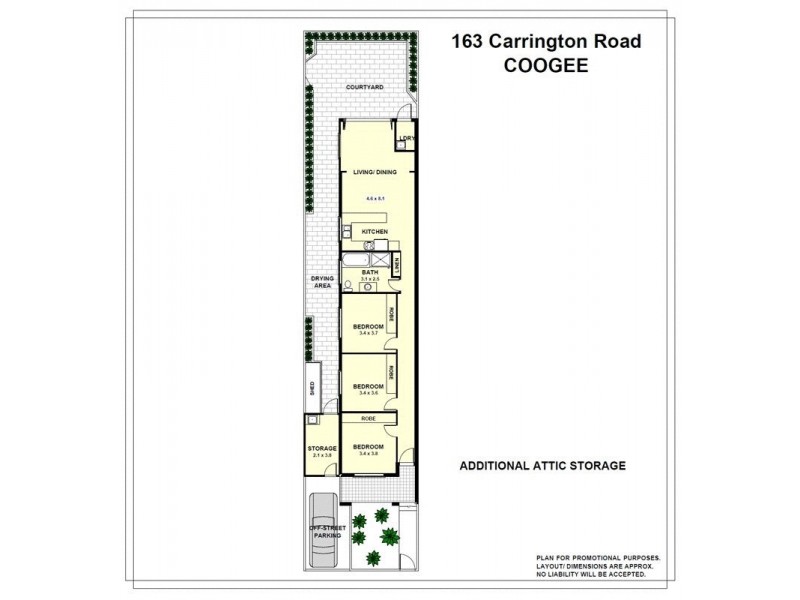 163 Carrington Road, Coogee NSW 2034 Floorplan