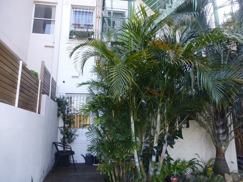 3/8 Shaw Street, North Bondi NSW 2026