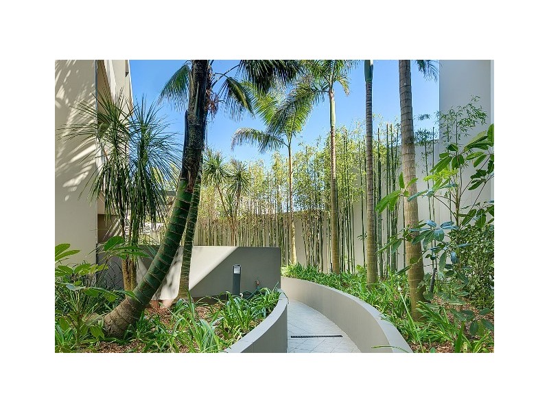 3/117-123 Bronte road, Bondi Junction NSW 2022