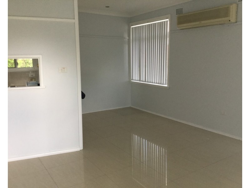 56 Lovoni Street, Cabramatta NSW 2166