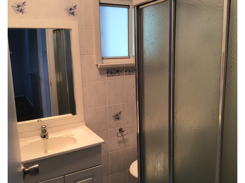 56 Lovoni Street, Cabramatta NSW 2166