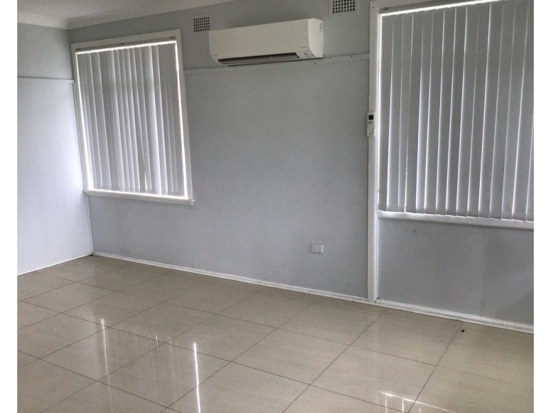 56 Lovoni Street, Cabramatta NSW 2166