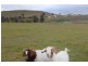 1978 Burra Road, Gundagai NSW 2722
