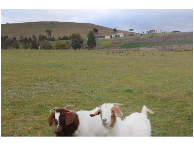 1978 Burra Road, Gundagai NSW 2722