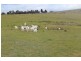 1978 Burra Road, Gundagai NSW 2722
