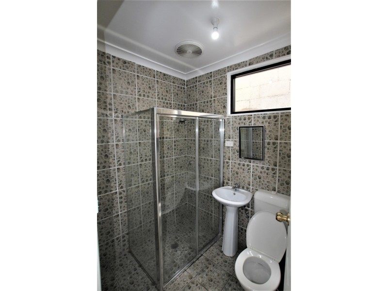 297A Canley Vale Road, Canley Heights NSW 2166