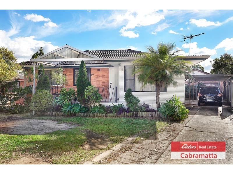 33 TUSMORE STREET, Punchbowl NSW 2196