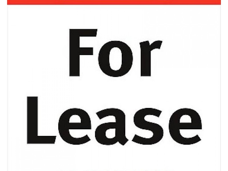 11A Wyong Street, Canley Heights NSW 2166