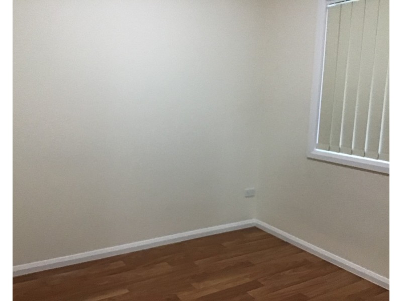 11A Wyong Street, Canley Heights NSW 2166