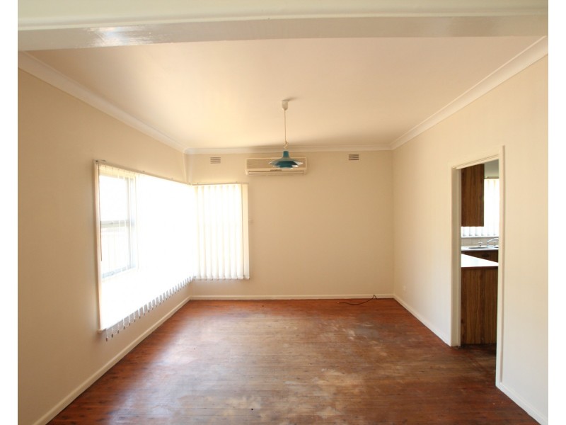 20 Vincent Crescent, Canley Vale NSW 2166