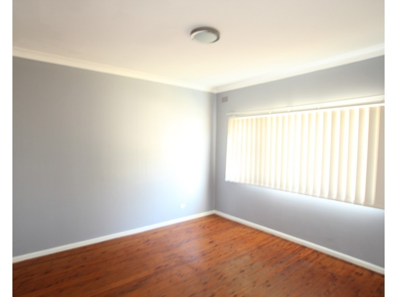 20 Vincent Crescent, Canley Vale NSW 2166