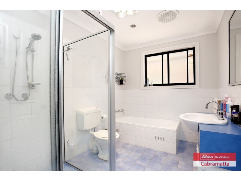 17 Foxlow Street, Canley Heights NSW 2166