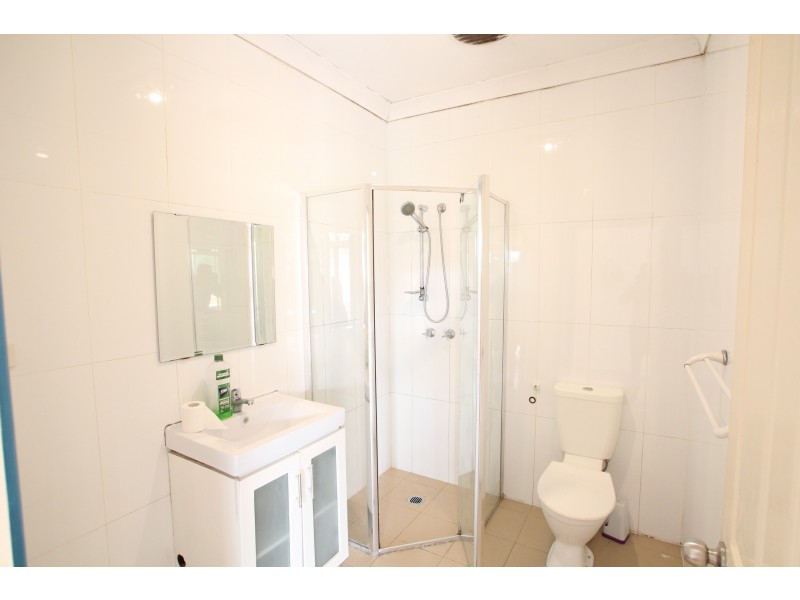 160 HECTOR STREET, Chester Hill NSW 2162