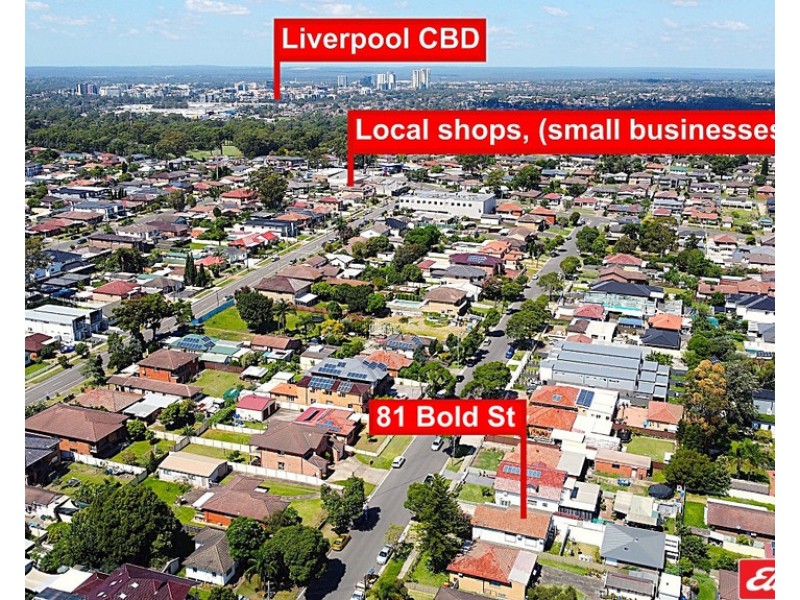81 BOLD STREET, Cabramatta West NSW 2166